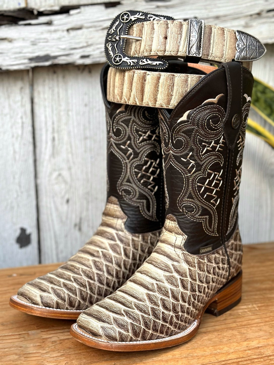 De Pitón Botas Punta Cuadrada Hombre Chile CB-010H Pitón Imitación