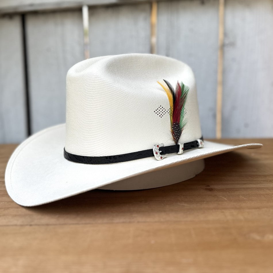 1000X Chaparral VIVA MEXICO Sinaloa Style Cowboy Hat by Stone Hats