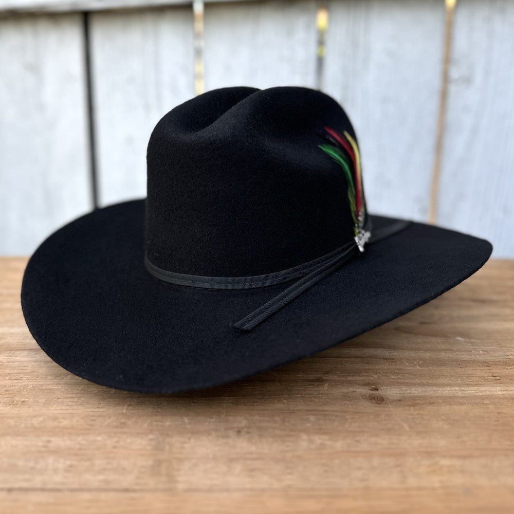 Texana 10X Chaparral Estilo SInaloa (Falda 3 1/2") de Tombstone Hats (5)