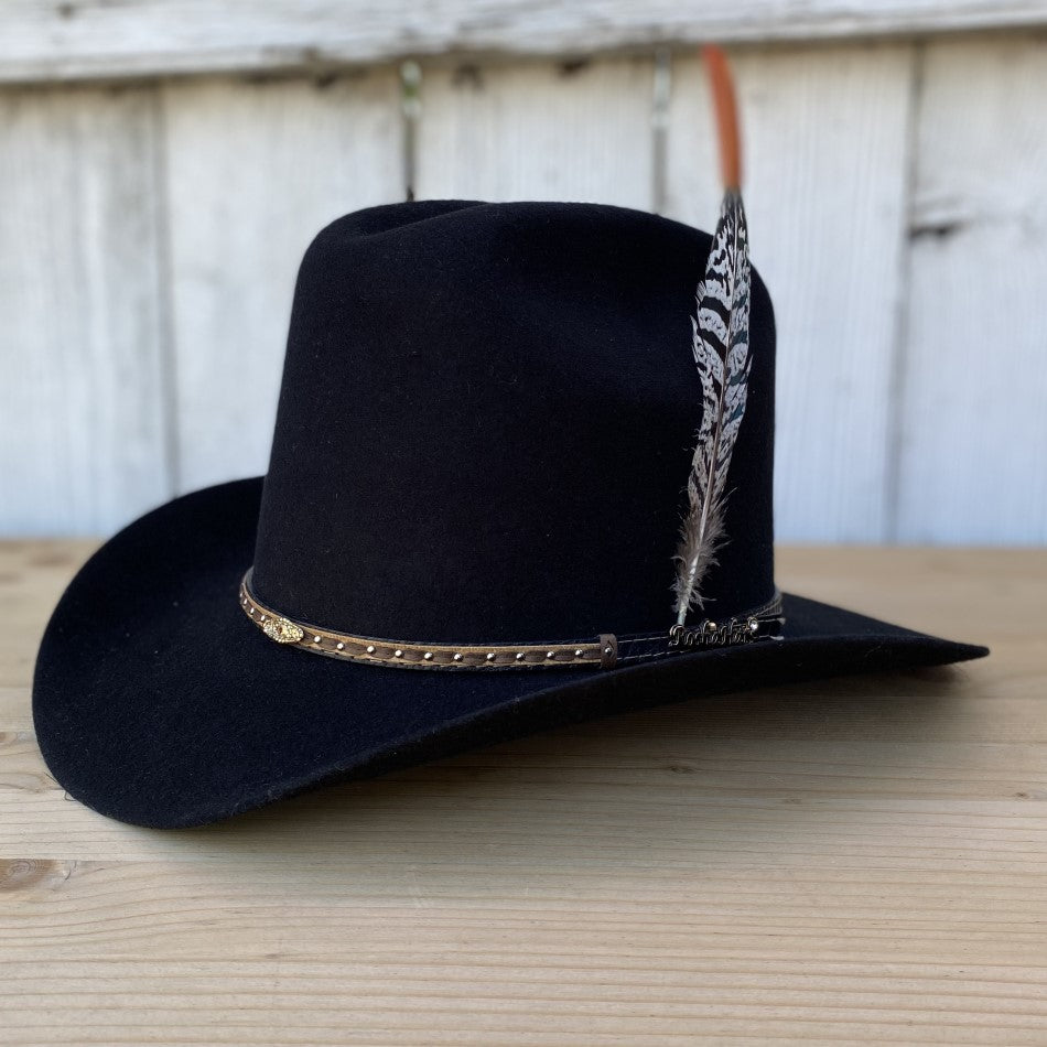 Texana 20X El Viejon Negro con Pluma Larga Rocha Hats Texanas