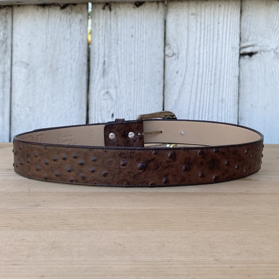 BD-701 Cafe - Cinturones Vaqueros para Hombre - Cinturones para hombre vaqueros - Cinturon para hombre vaquero - Cintos Vaqueros - Cinturones exoticos vaqueros