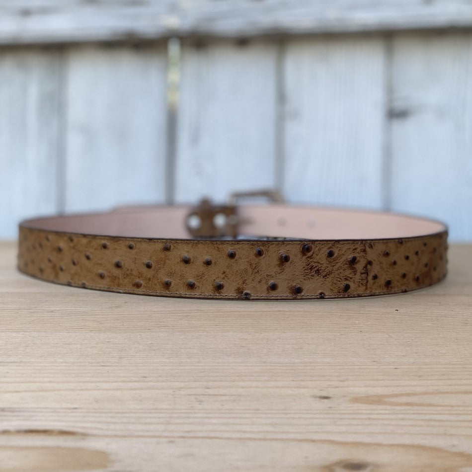 BD-701 Orix Cinturon Vaquero Exotico - CInturones de Avestruz - Cinturon de Avestruz - Cinturones Vaqueros - Cinturones Vaqueros Exoticos