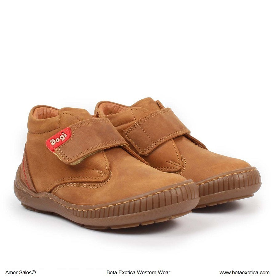 DG8605 Tobacco - Zapatos para Ninos