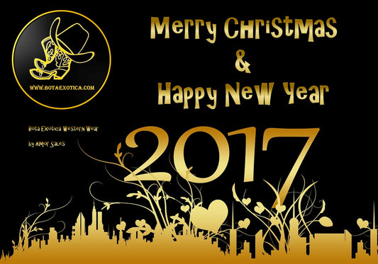 Merry Christmas and Happy New Year 2017