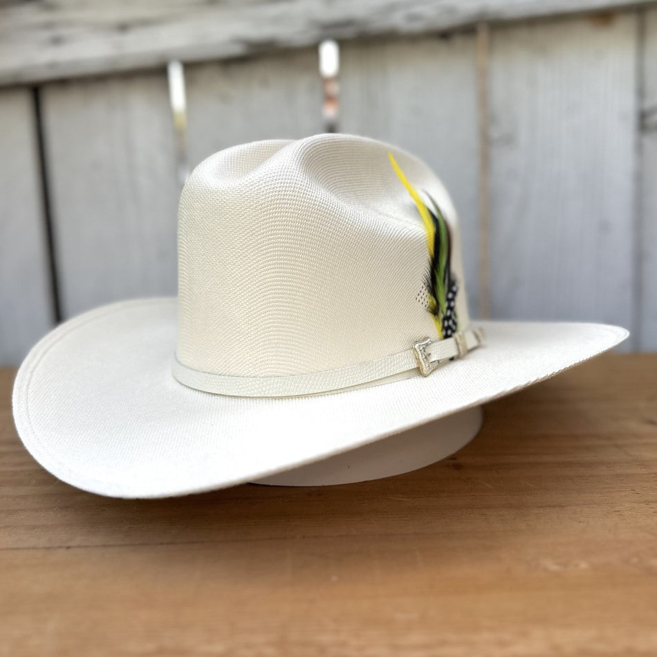 1000X Chaparral Sinaloa Style Cowboy Hat (3 1/2