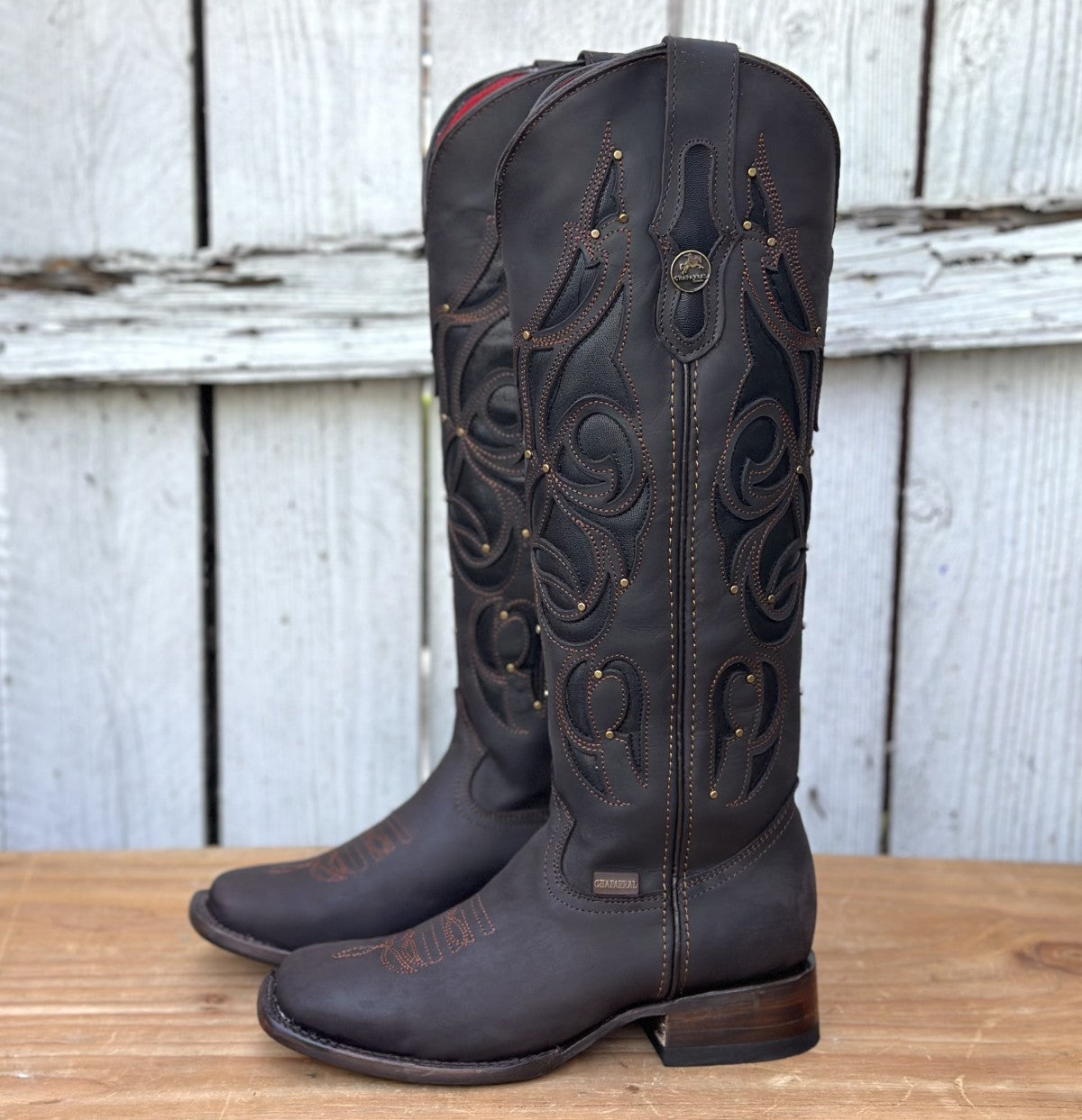 Bota Vaquera Café de Tubo Alto con Estoperoles para Mujer | CB-Ruby (6)