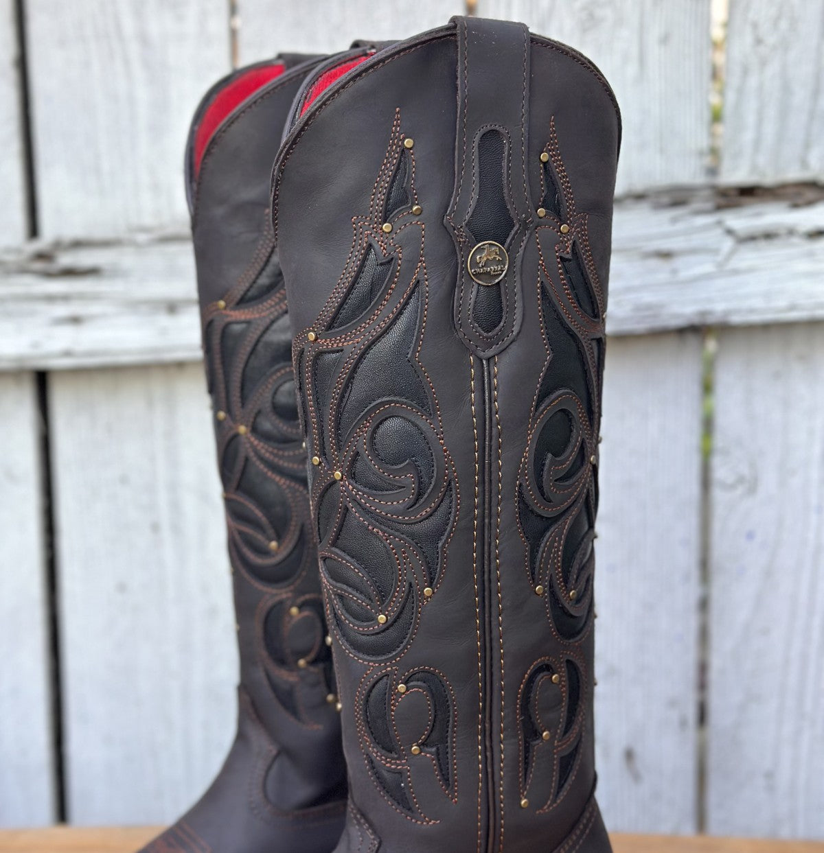 Bota Vaquera Café de Tubo Alto con Estoperoles para Mujer | CB-Ruby (3)