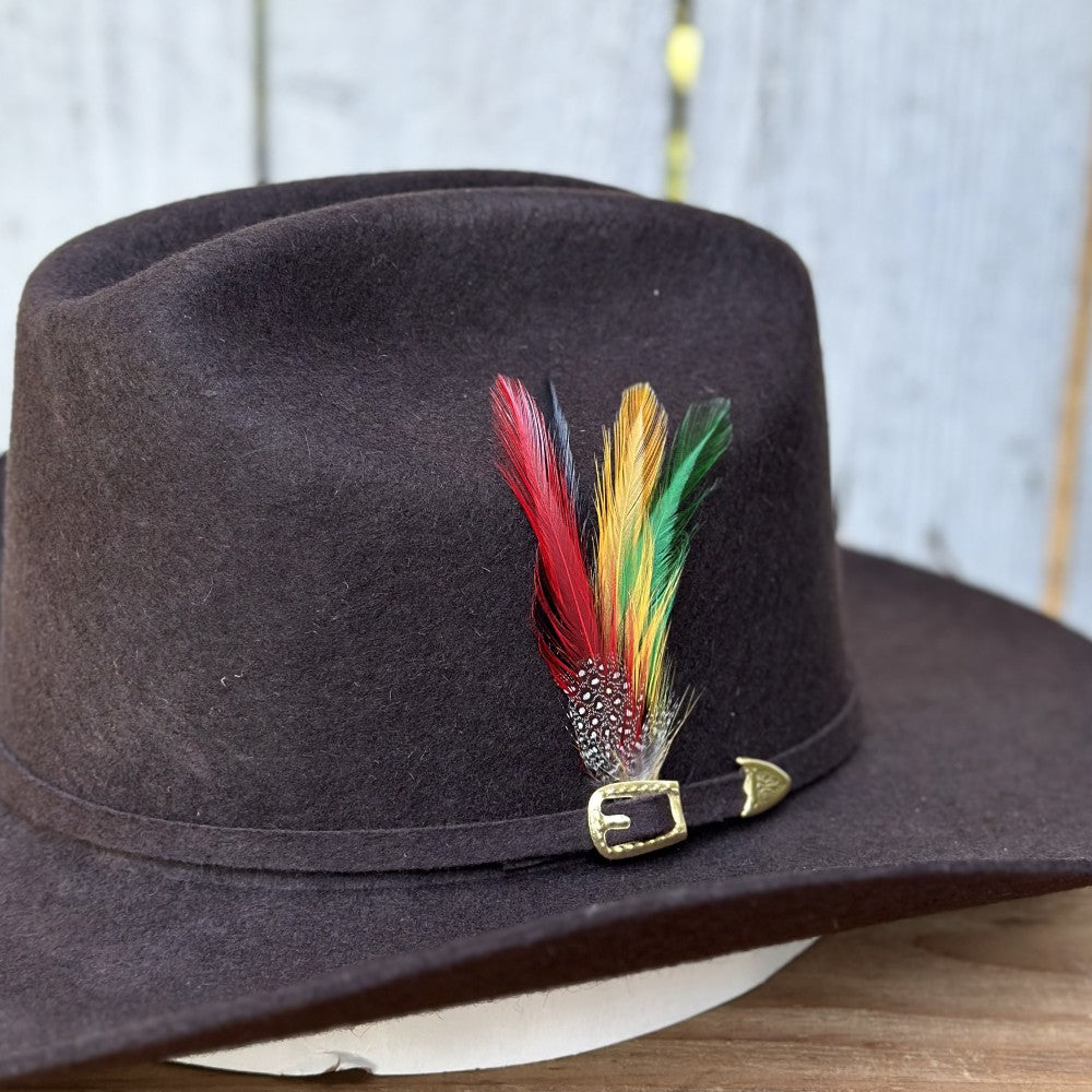 Texana Café 100X Chaparral Estilo SInaloa (Falda 3 1/2") de Stone Hats | Texana de Lana Cafe (2)