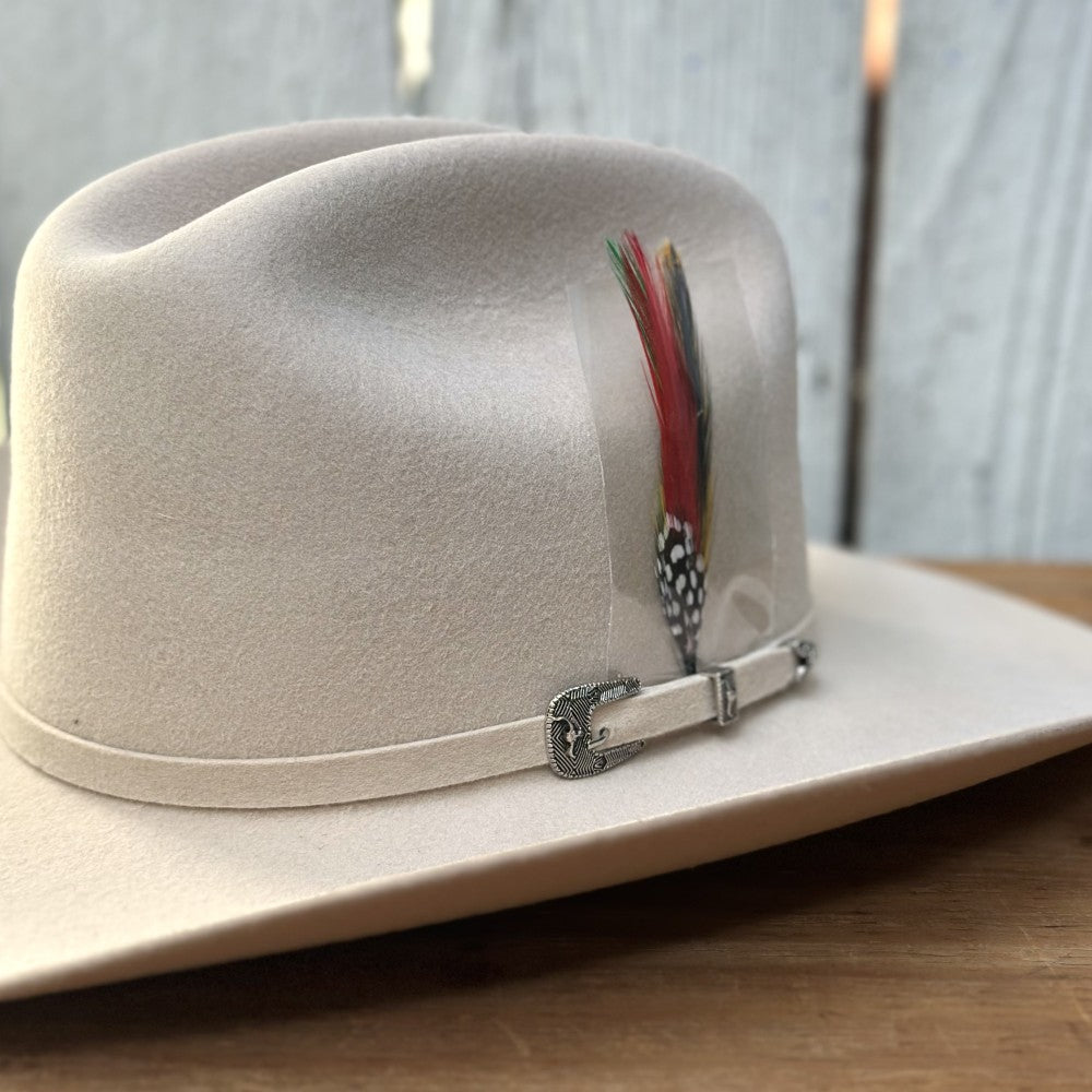 Texana 6X Chaparral Silver Belly Estilo SInaloa de Cuernos Chuecos (3)