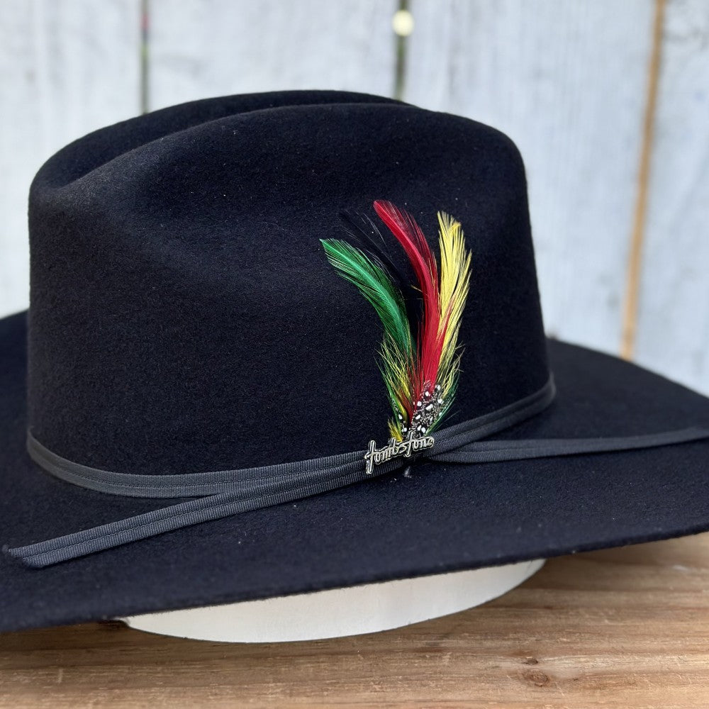 Texana 10X Chaparral Estilo SInaloa (Falda 3 1/2") de Tombstone Hats (3)