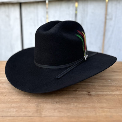 Texana 10X Chaparral Estilo SInaloa (Falda 3 1/2") de Tombstone Hats (5)