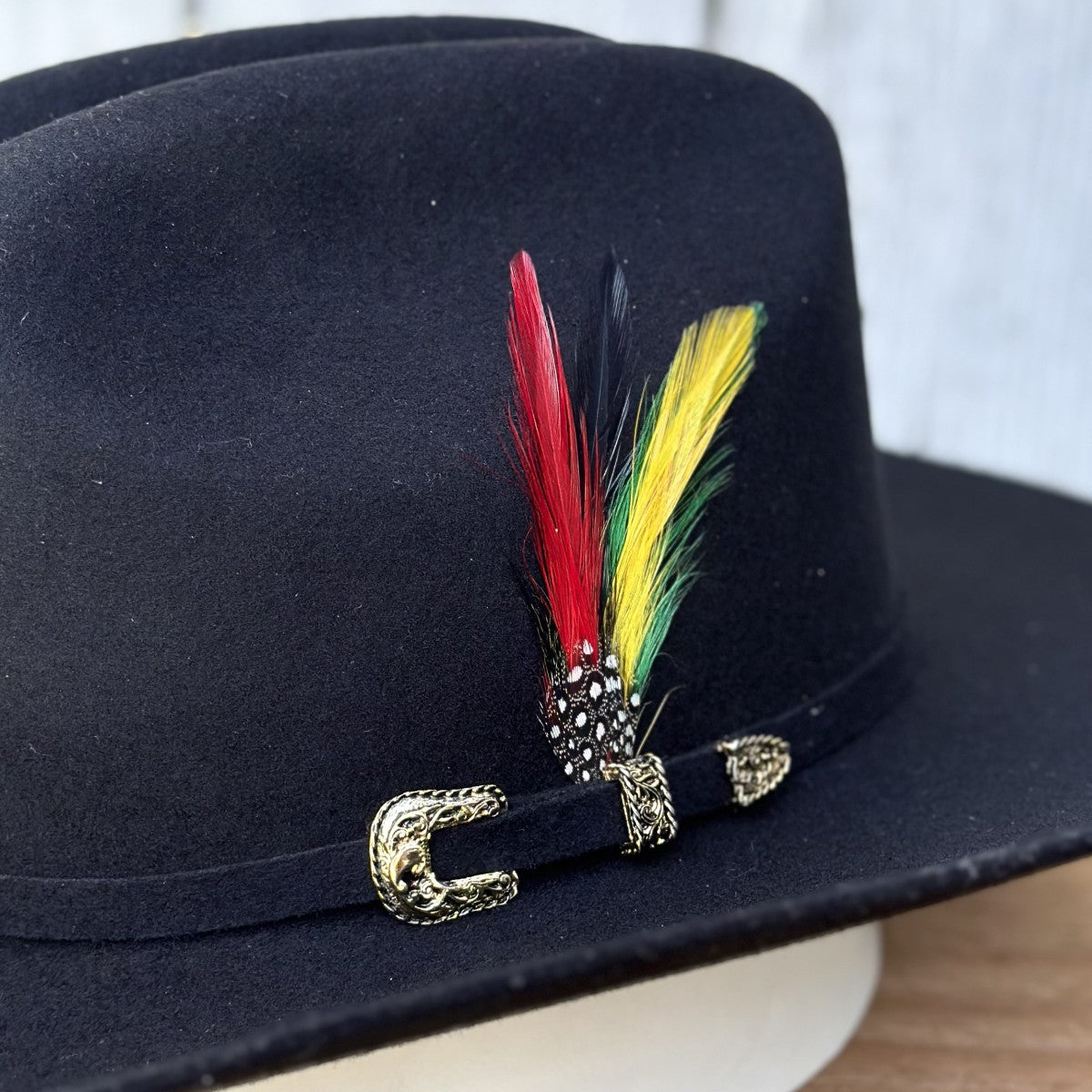 Texana 20X Chaparral Estilo SInaloa (Falda 3 1/2") de Tombstone Hats (2)