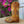 Load image into Gallery viewer, JB-1605 Tan - Botas Vaqueras para Mujer

